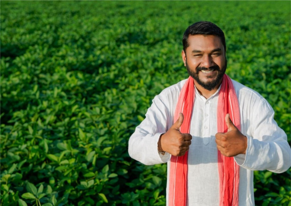 Shuddha Space Cashew Exporter