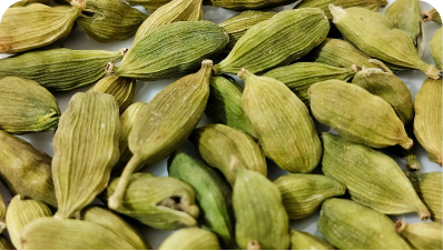 Shuddha Space premium cardamom spice, showcasing bold green pods and fresh aroma.