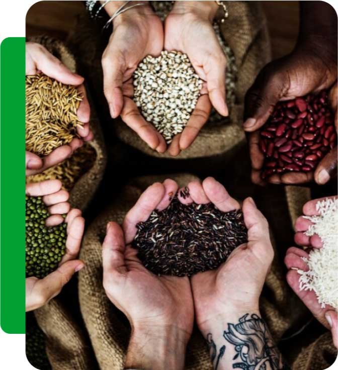 Empowering Farmers at Shuddha Space