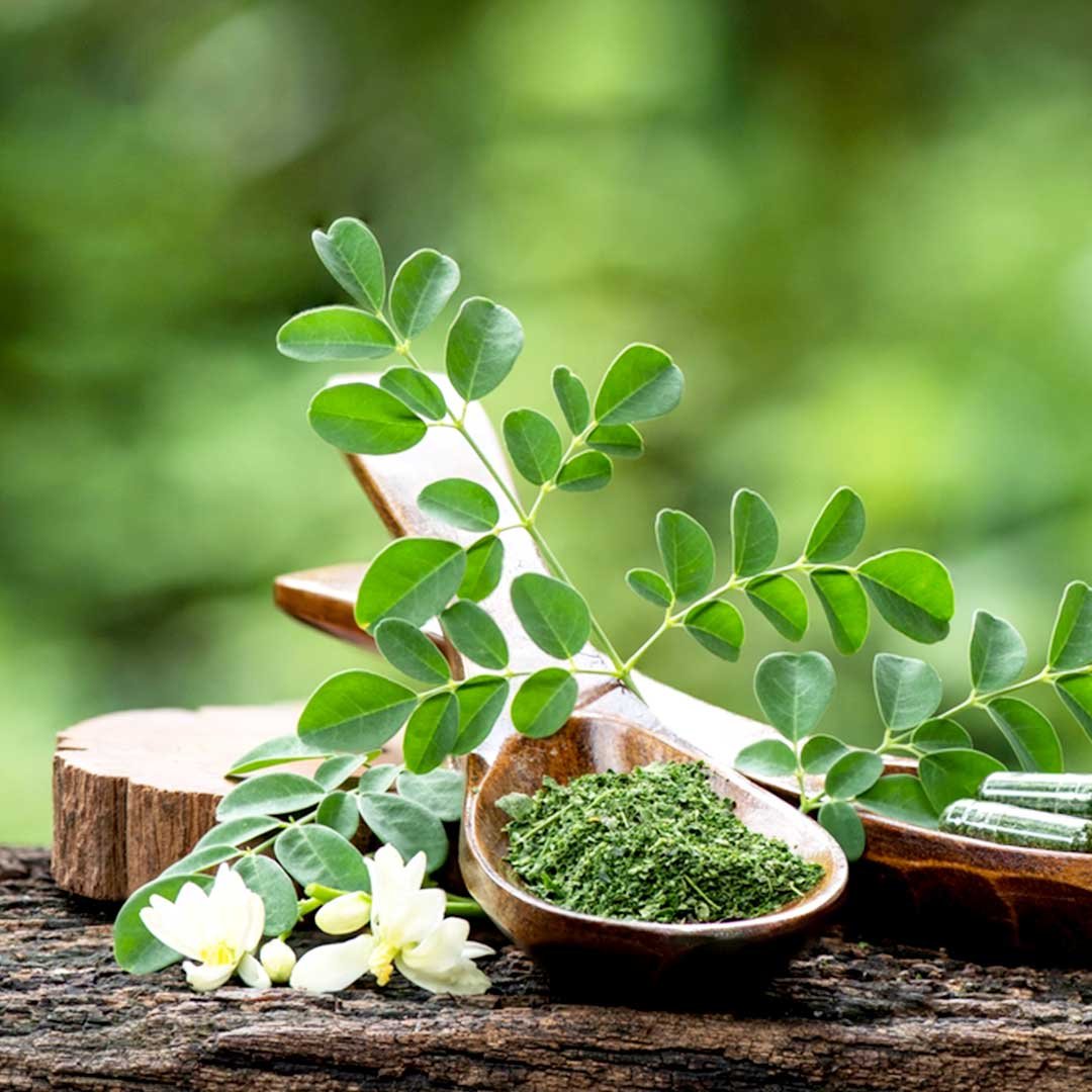 Moringa